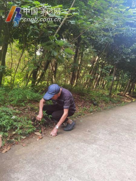 锻炼喜中欧体育平台吃甜食……102岁老人分享他的“长寿秘籍” 坚持清扫山路十年(图2)