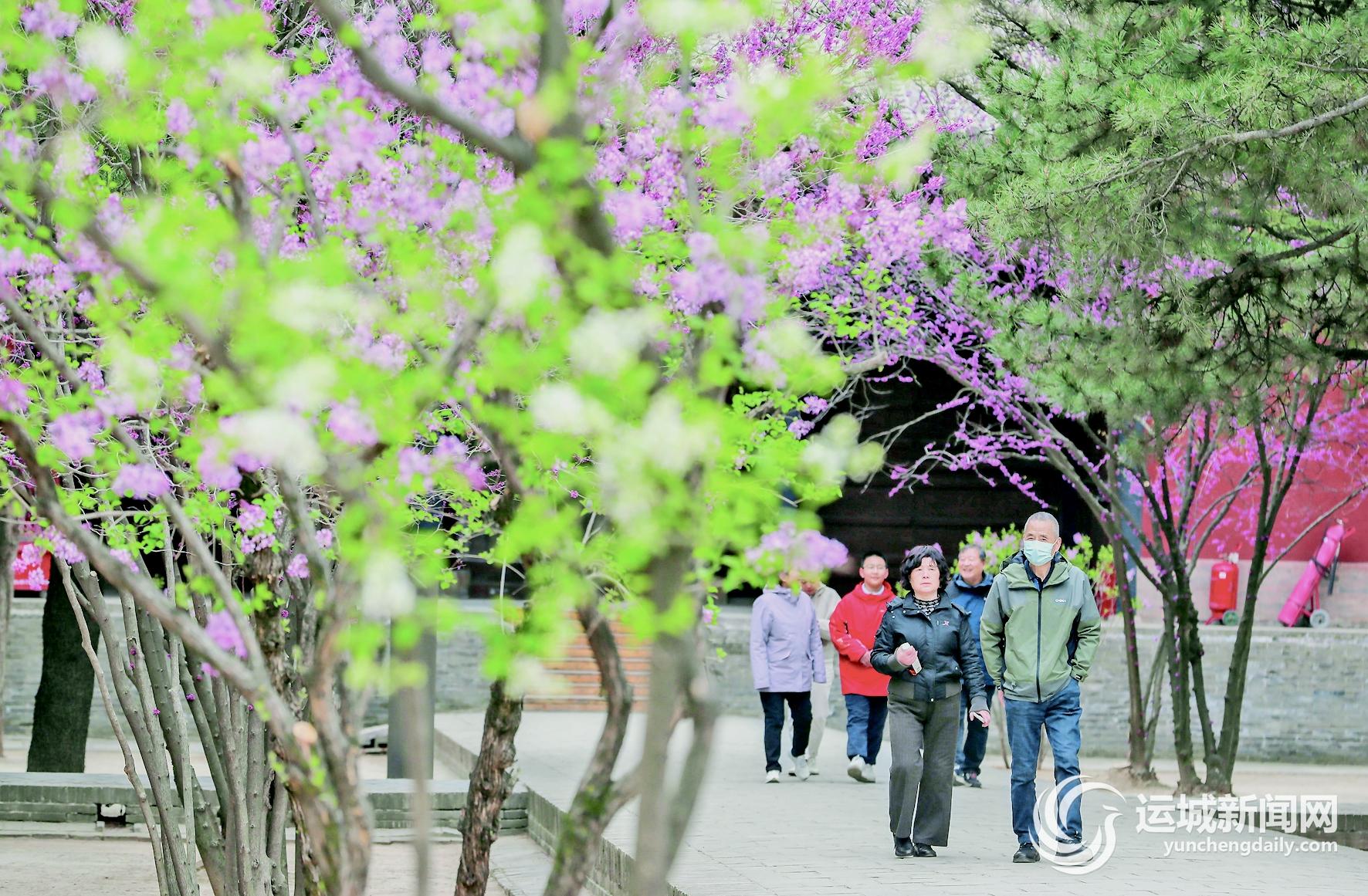 我市4月文旅活动“上新”—— 解锁春日游玩新热潮(图2)