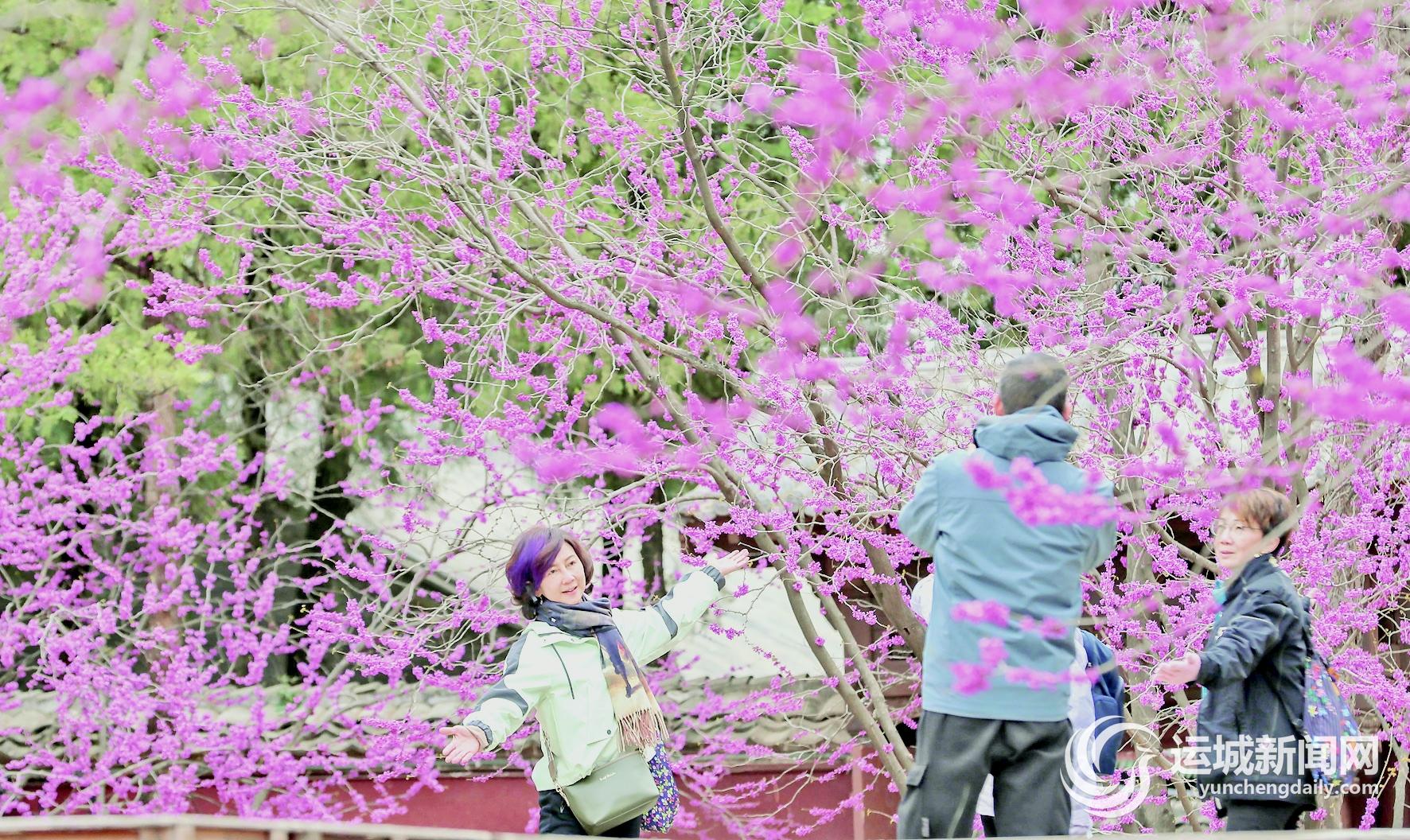 我市4月文旅活动“上新”—— 解锁春日游玩新热潮(图1)