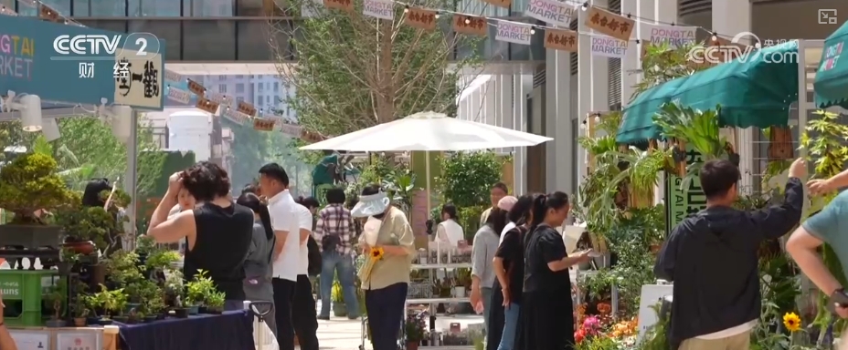 以花为媒以科创为引擎 城市空间消费新业态上“新”引领文化新风尚中欧体育入口(图6)